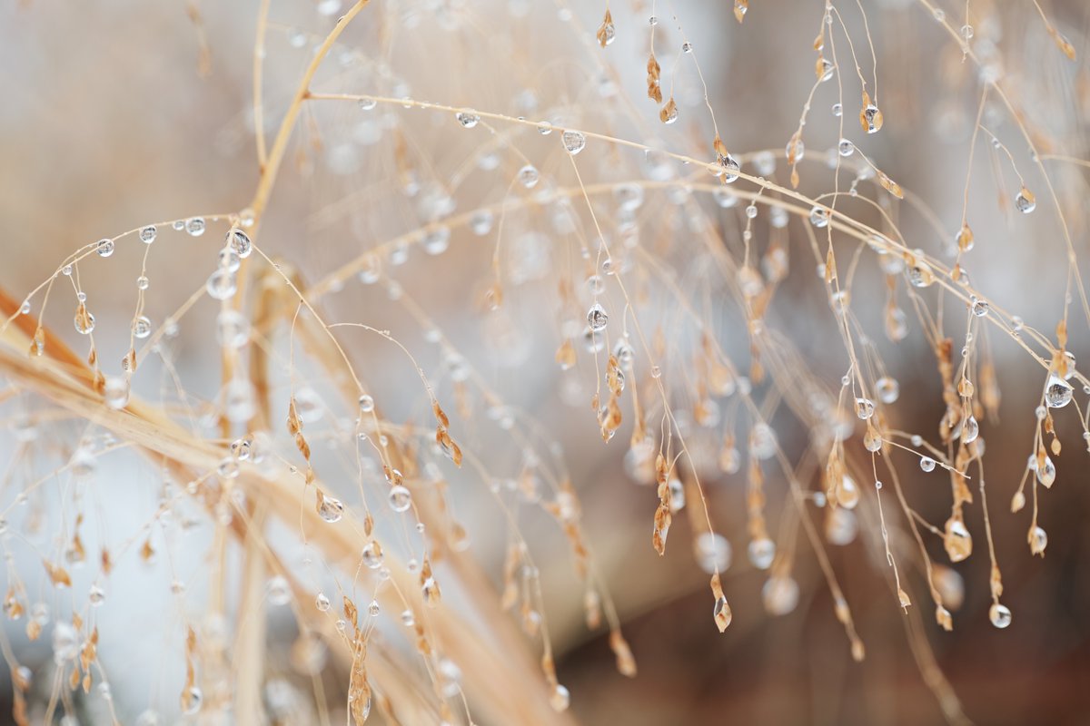 akanefuji1's tweet photo. Day36
#FoveonDaily https://t.co/D8tId5GfNj
