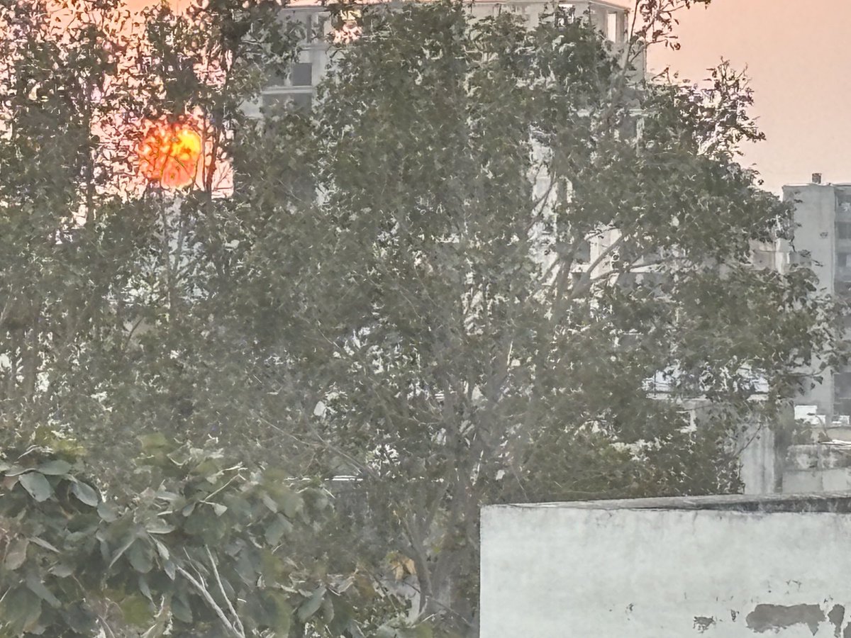 Sunset behind the trees … make a wish ! ⁦@AasimMansuri⁩ ⁦@Sparsh85⁩ ⁦@zenrainman⁩