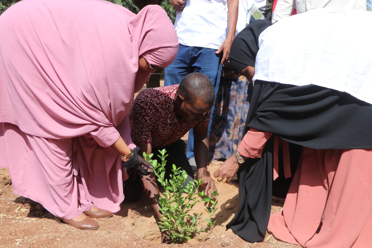 Celebrated International Day of Zero tolerance to FGM at Hyuga Girls Primary School. This year's theme was 'Her Voice, Her Future',  and supported by Actionaid International Kenya. We have also planted trees so we also continue increasing our tree cover. #FGM #HerVoiceMatters