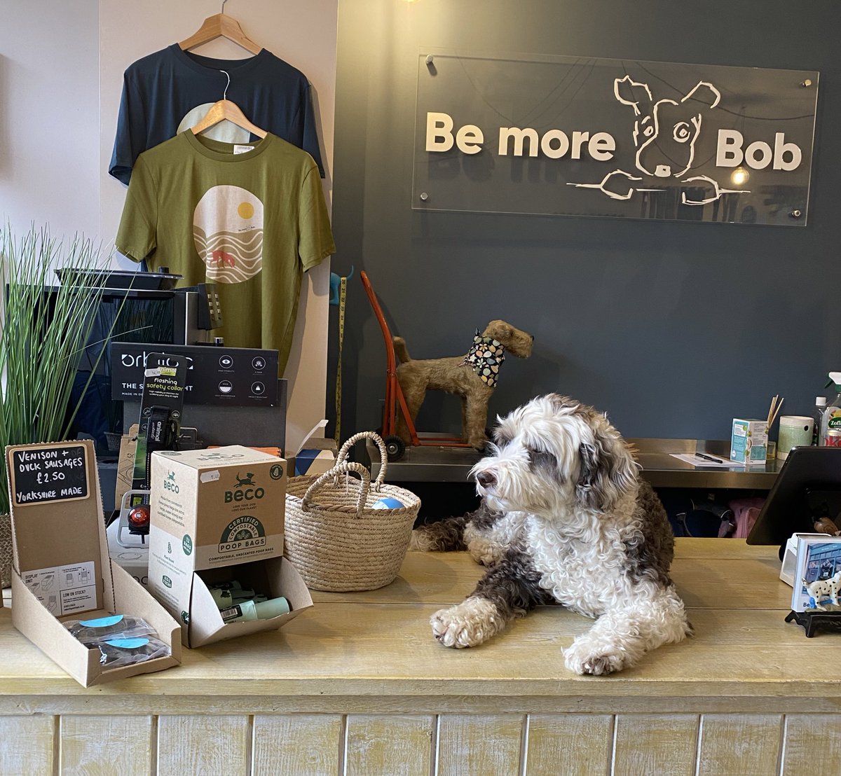 BeMoreBob tweet media