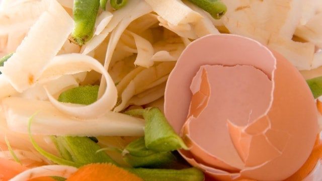 MTMequities's tweet image. Rockland Community Composting from The Hudson Valley Business Network #MTMN 

#foodwaste #refed #rocklandcountyny

buff.ly/4buYUp5