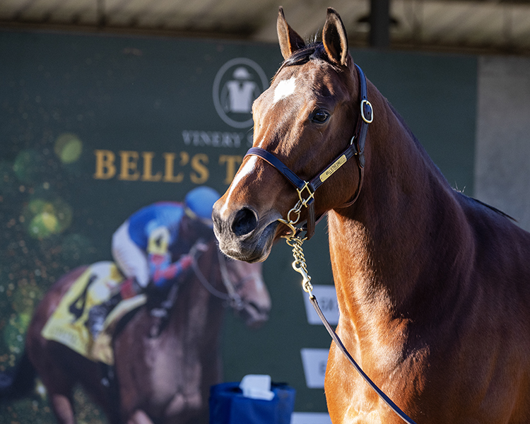 BH_AEberhardt's tweet photo. #DingDing #BellstheOne, one of several standouts in the final session of the @Fasigtiptonco #FTFeb sale, @VinerySales for the Lothenbach dispersal 🔔💝G1SW #BC3rd Other female stars include #SheCantSing #ZettaZ (dam of Nysos) https://t.co/Xd5sxRvtYD