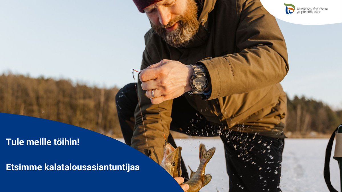 Tule meille töihin! Haemme nyt kalatalousasiantuntijaa Lapin ELY-keskukseen vakinaiseen virkaan.🐟
Hae valtiolle.fi-palvelun kautta. Hakuaika päättyy 19.2. klo 16.15.⏰

#ELYkeskus #ValtiollaTöissä #AvoimetTyöpaikat #Rekry