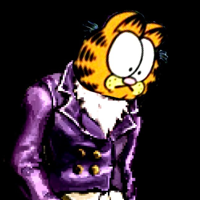 Gulla 🪽🦁 tweet media