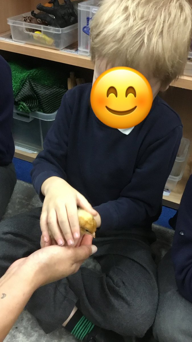Year 1 had lots of fun looking after the chicks yesterday afternoon!🐣🐥