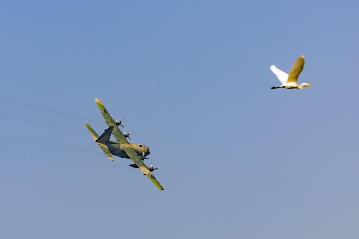 mna_roc's tweet image. 「你的新年，我來守護！」

#ROCArmedForces #ROCAF  #ProtectOurCountry #ROC #Taiwan🇹🇼