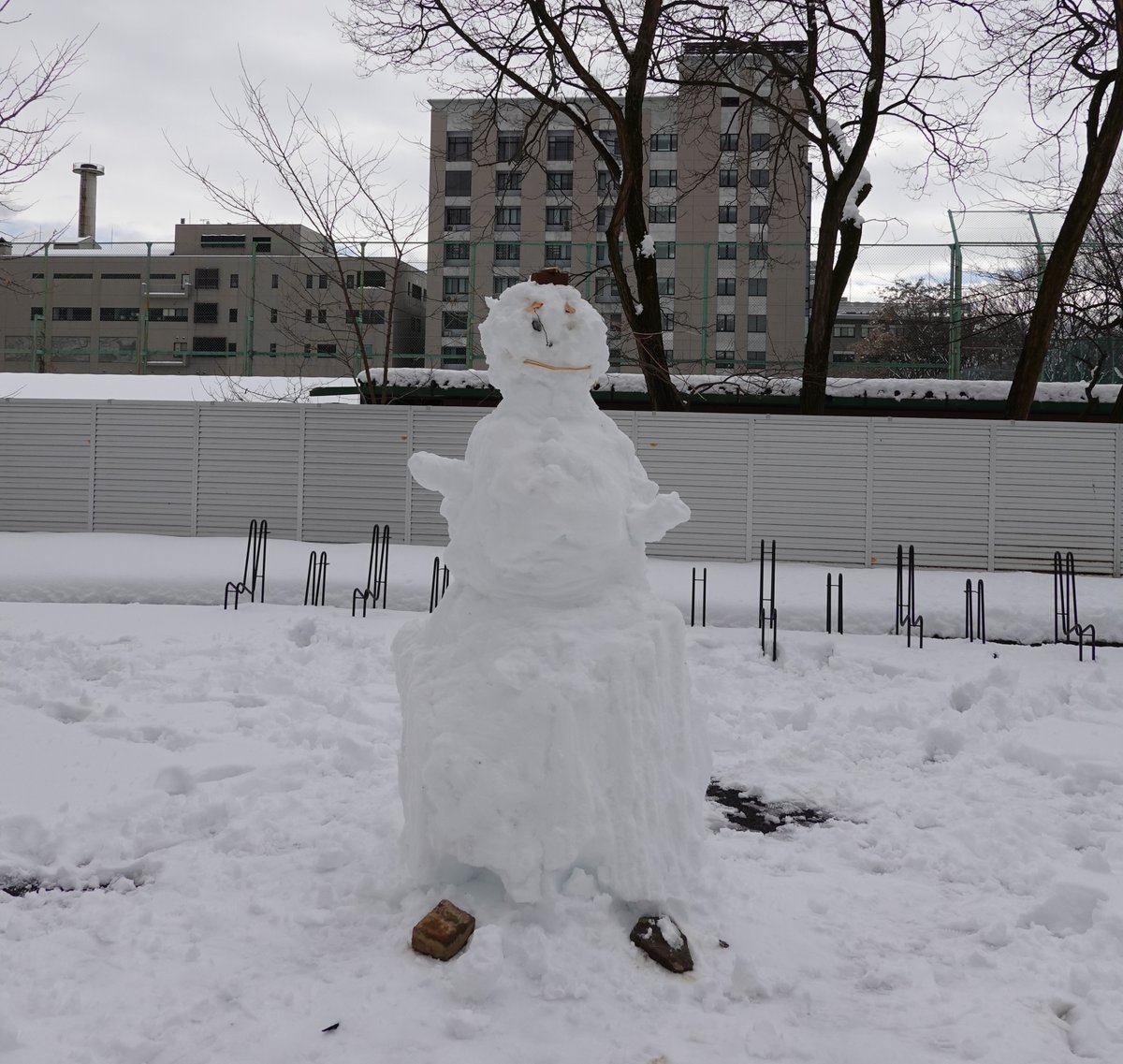 Good #snow on #campus! #Students @ShinshuUni enjoyed making #Snowmen. See which one made by #Japanese students, and the other by #western students? #studyinjapan #Winter2024 #matsumotocity #culture