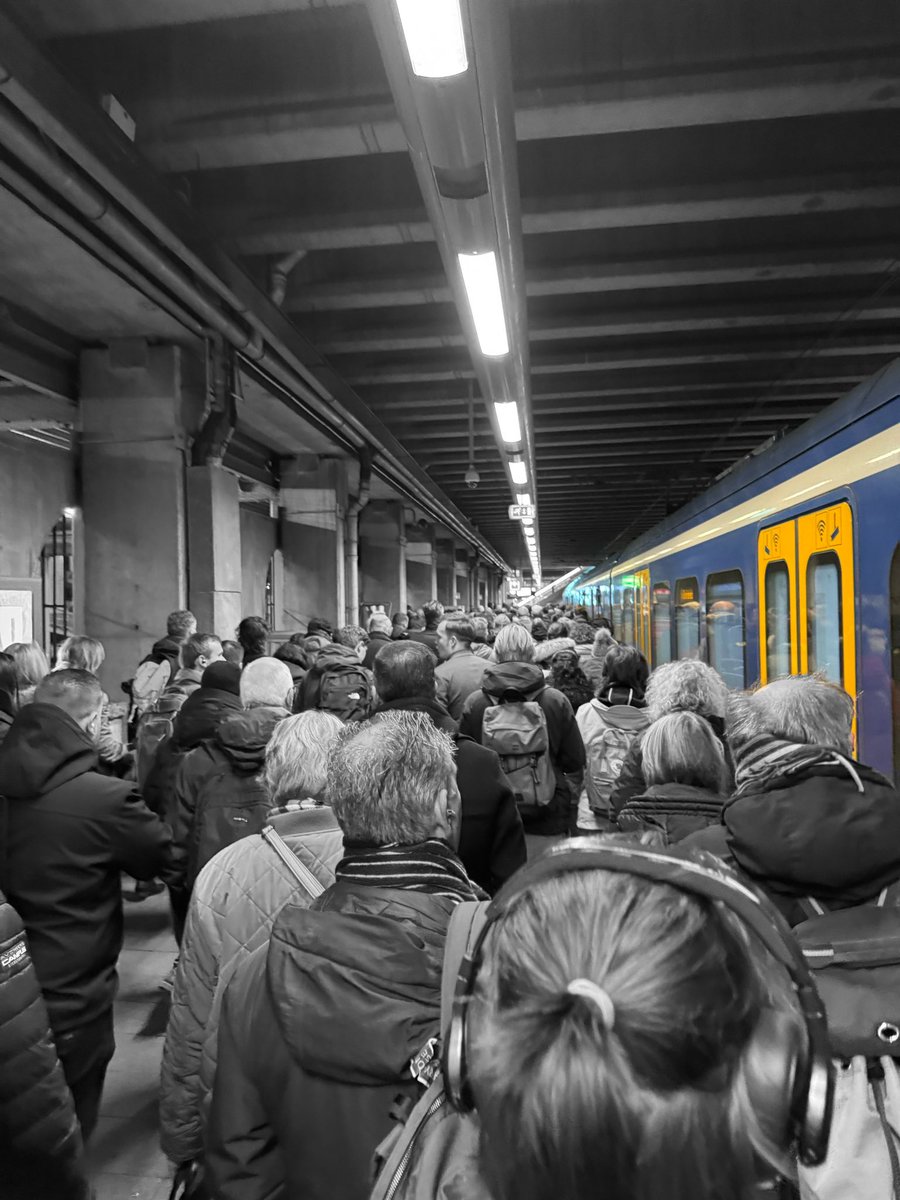 Heleen van den Berg tweet media