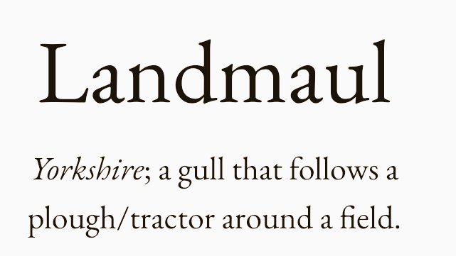 Cian McCarthy tweet media