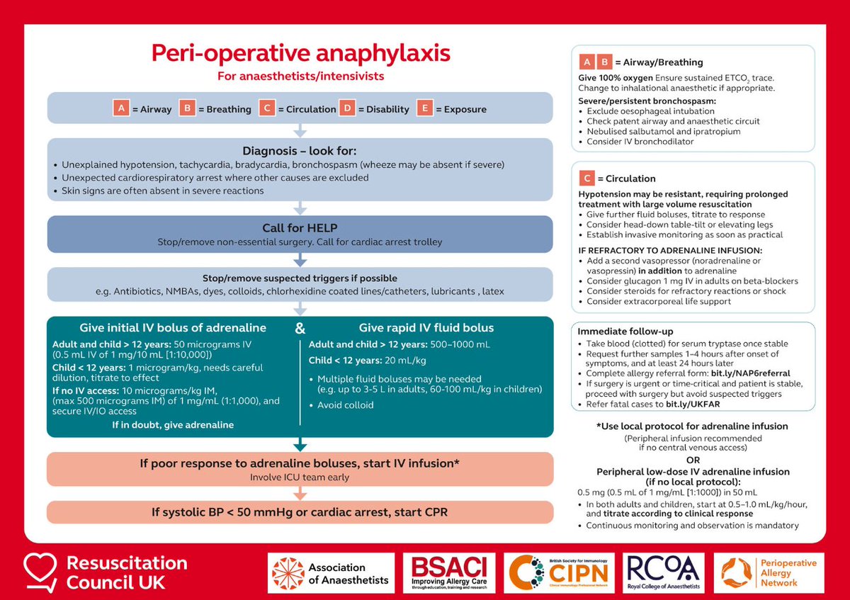BSI Clinical Immunology Professional Network (@bsi_cipn) on Twitter photo Emergency treatment of #PerioperativeAnaphylaxis: a <a href="/ResusCouncilUK/">Resuscitation Council UK</a> algorithm
Developed in collaboration with the UK Perioperative Allergy Network, this paper provides guidance for anaesthetists providing patient care
Read in <a href="/Anaes_Journal/">𝘈𝘯𝘢𝘦𝘴𝘵𝘩𝘦𝘴𝘪𝘢</a> 🔗bit.ly/3u6Qnrw Emergency treatment of #PerioperativeAnaphylaxis: a <a href="/ResusCouncilUK/">Resuscitation Council UK</a> algorithm
Developed in collaboration with the UK Perioperative Allergy Network, this paper provides guidance for anaesthetists providing patient care
Read in <a href="/Anaes_Journal/">𝘈𝘯𝘢𝘦𝘴𝘵𝘩𝘦𝘴𝘪𝘢</a> 🔗bit.ly/3u6Qnrw