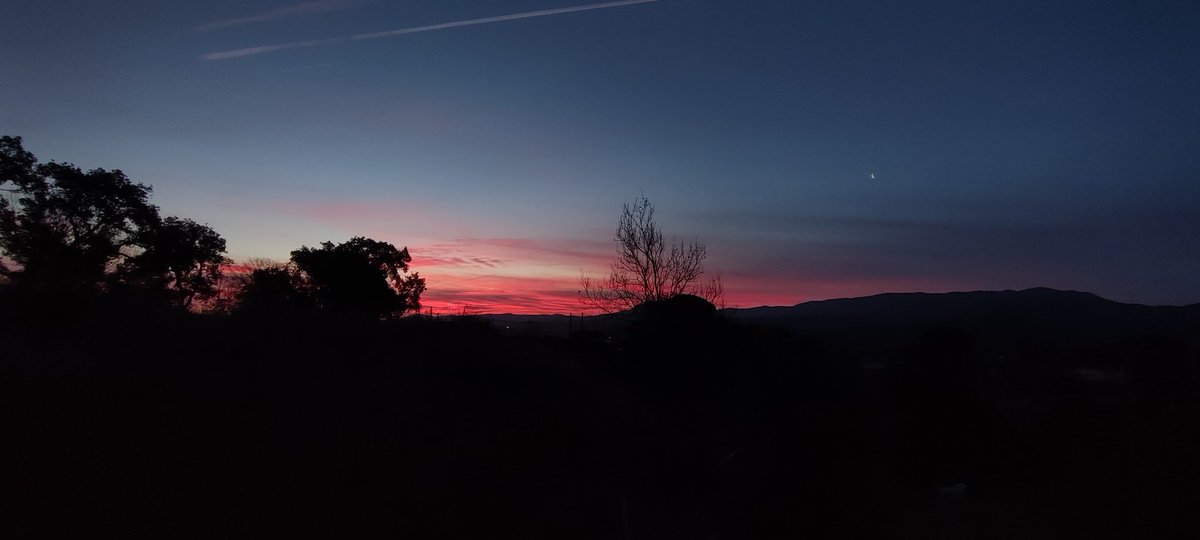 Ázaris Ruiz tweet media