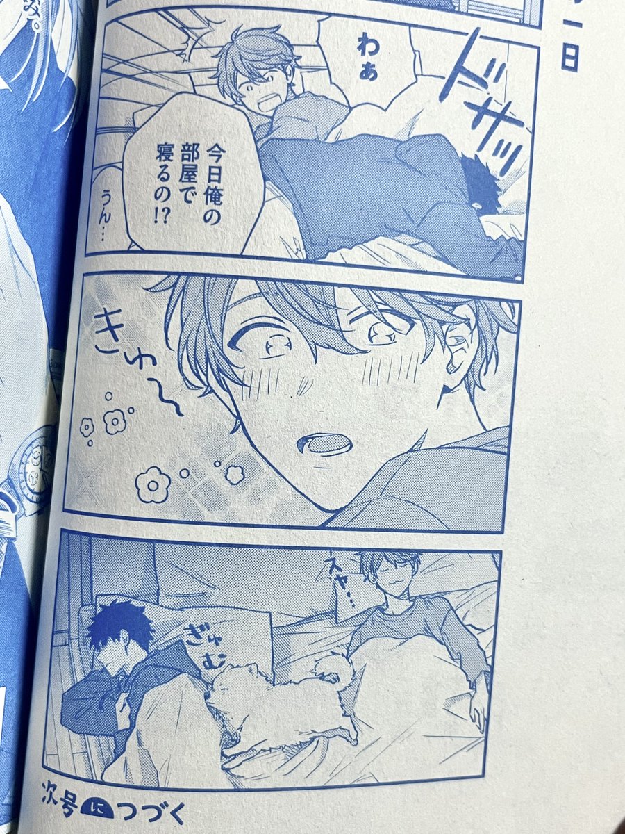 초천재보리 tweet media