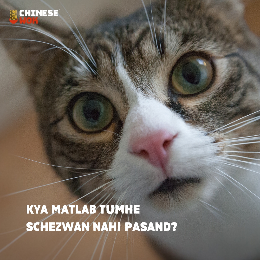 ChineseWokIn's tweet image. Are you team #Schezwan? 😻