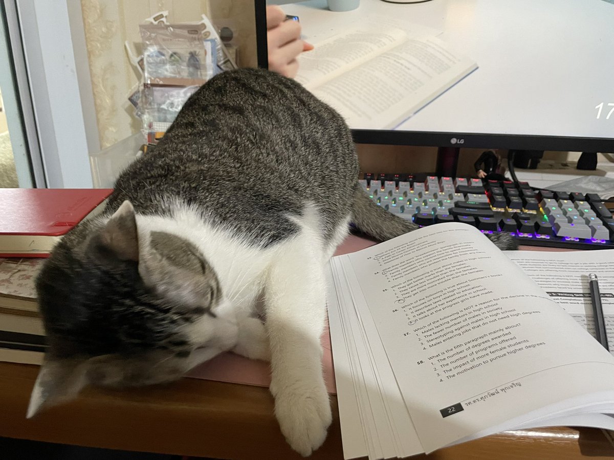 🥔potato🐧 tweet media