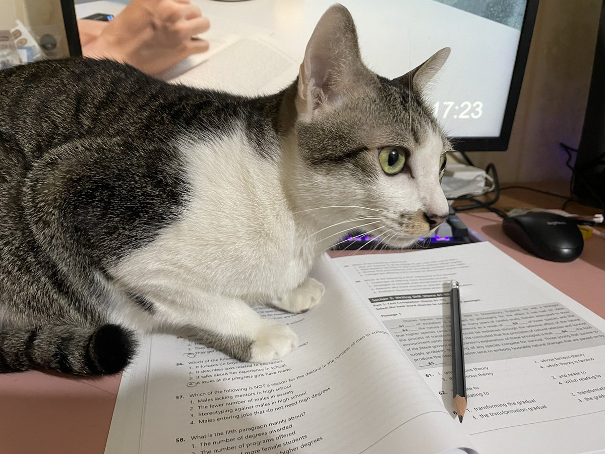 🥔potato🐧 tweet media