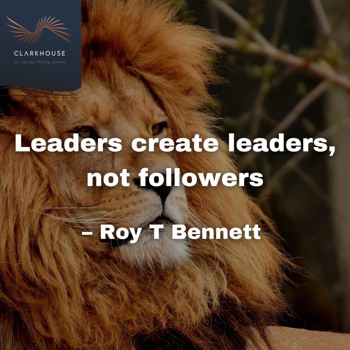 Courage is contagious. As great leaders, it's our responsibility to spread it. Let's create a workplace where everyone feels empowered to lead, innovate, and excel.

Together, we can shape a future filled with courageous leaders.

linkedin.com/feed/update/ur…

#ICHOOSECHOURAGE