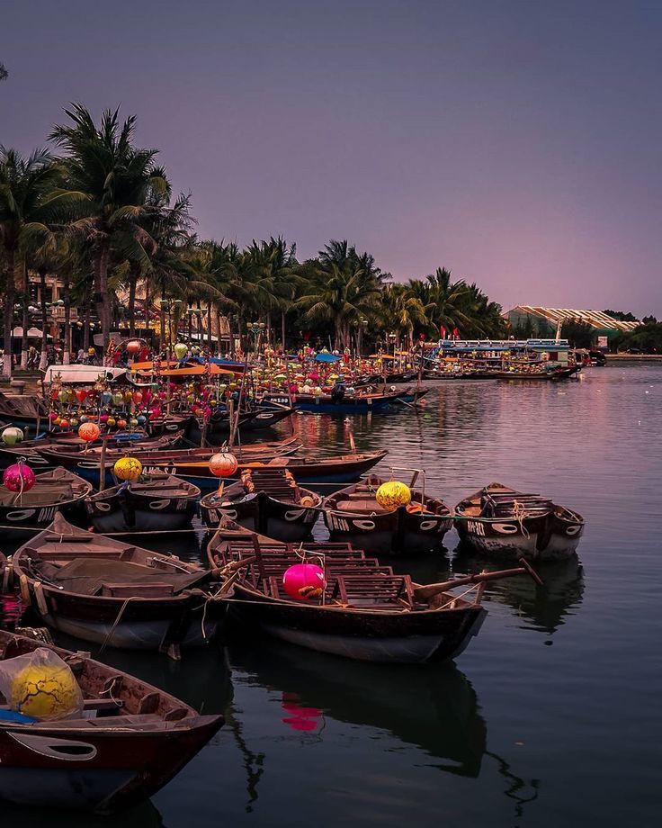 The Blueberry Trails tweet media