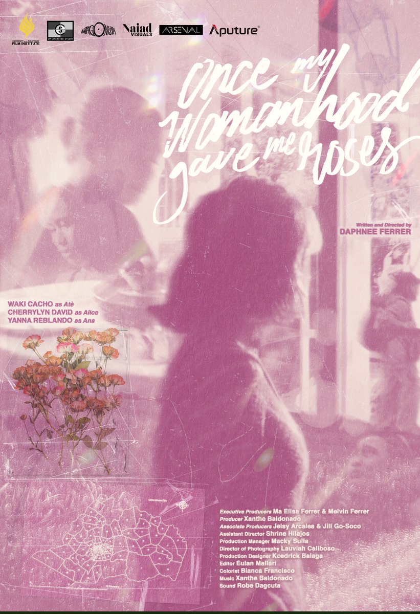 a few "maximalist" posters for student films that i've made so far 💐
