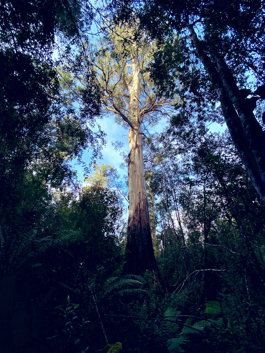 Sean tooker tweet media