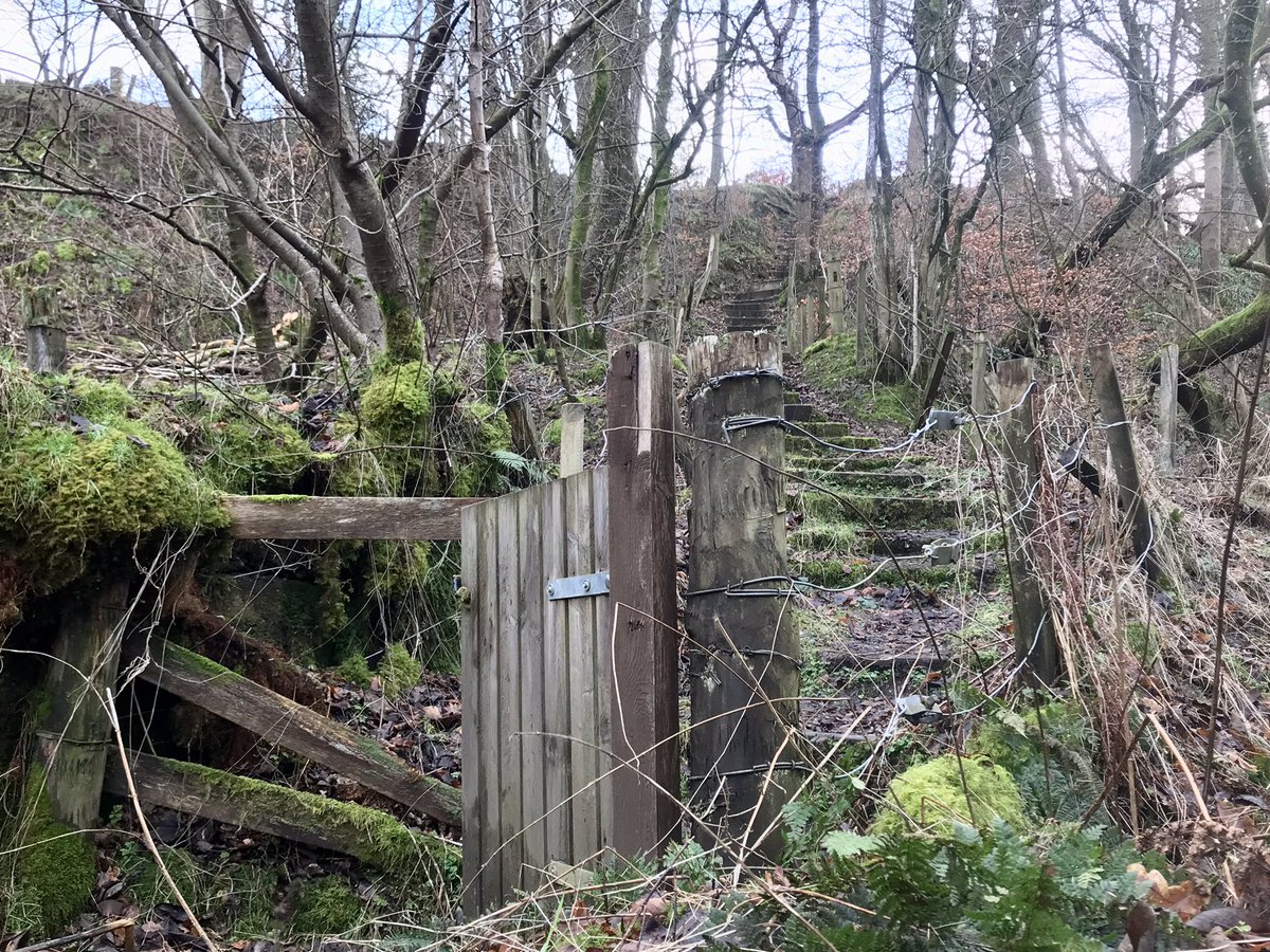 coal_legacies's tweet photo. In contrast to extraction, a legacy of the mining workforce for #NationalMinersDay and one of the many historic rights of way permanently etched on the landscape. The path the miners used from #Coalnsughton to work at Bessie Glen (Tillicoultry No 1) #coal #miningheritage #explore https://t.co/BoRQQ2DlYQ