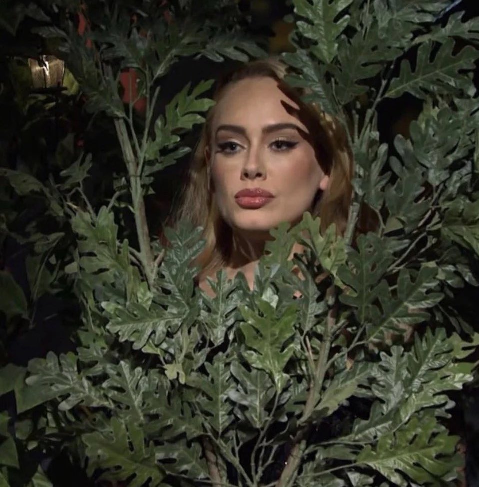 Staring at the inbox waiting for the Adele in Munich presale email like