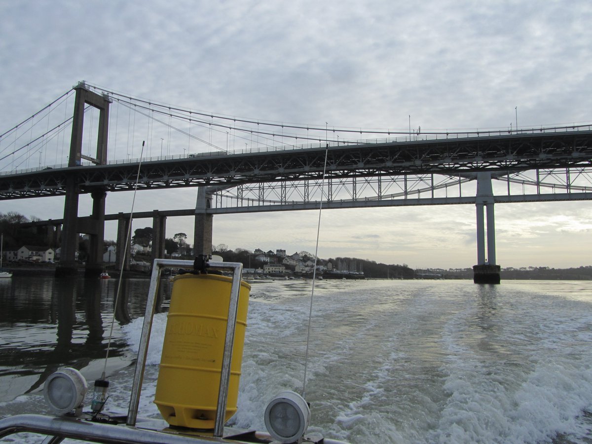 Plymouth Marine Lab tweet media