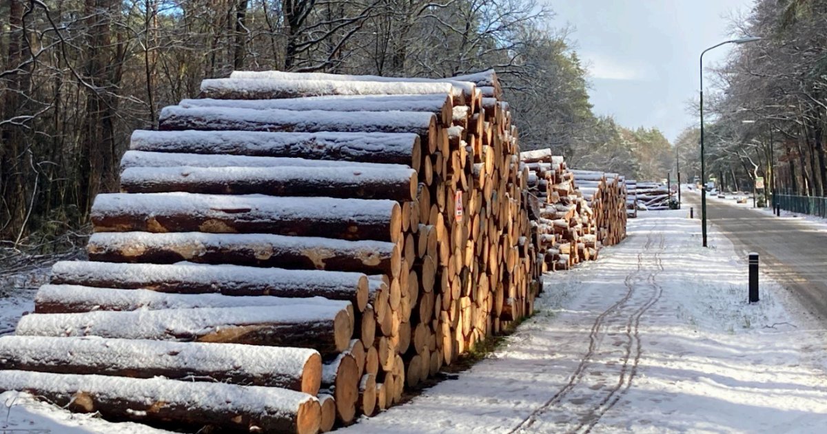 Doe aardig tweet media