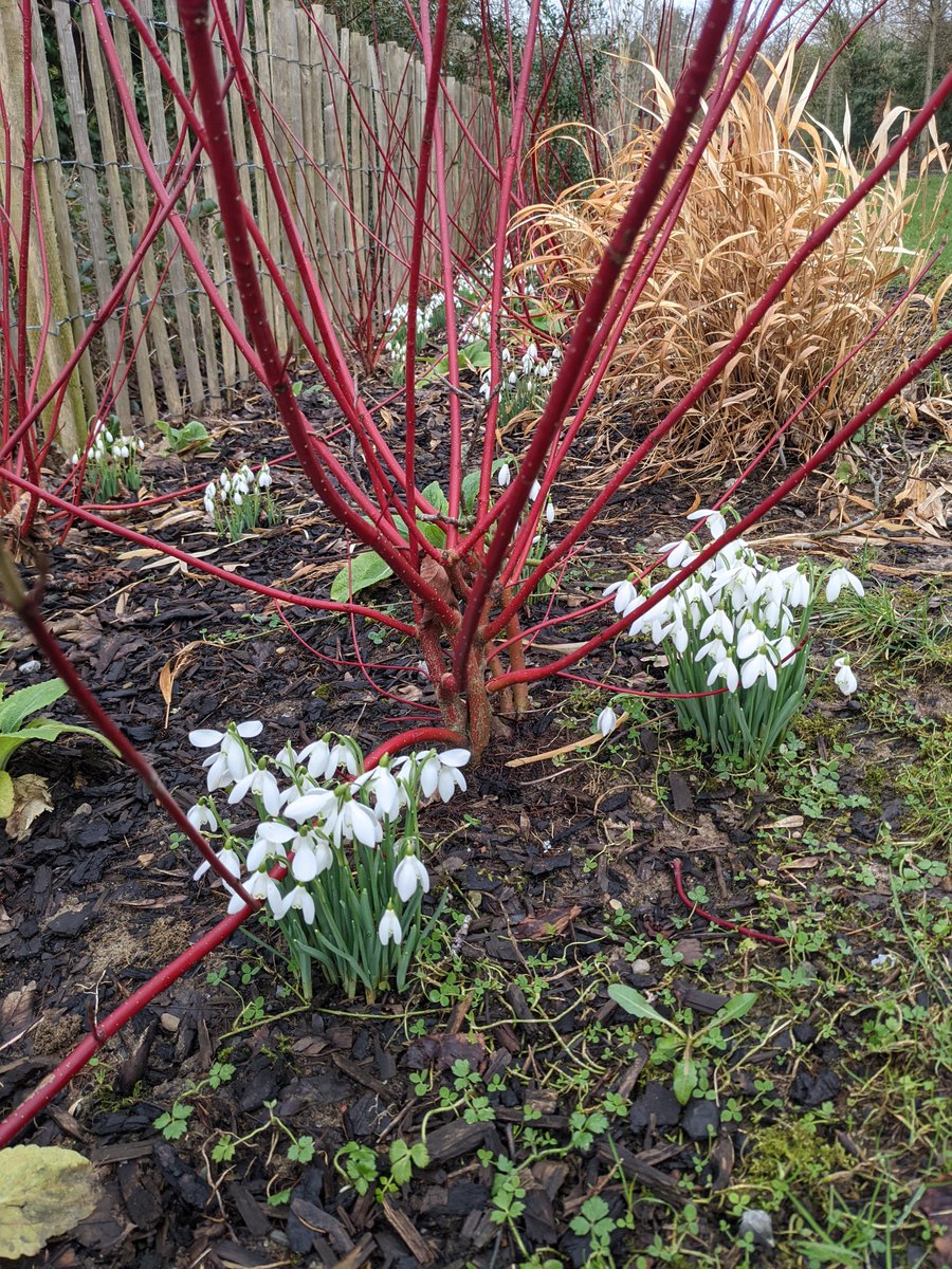 All kinds of everything at Swanpark Buncrana Donegal for Art in the Park 3 <a href="/everone/">ever earle</a>