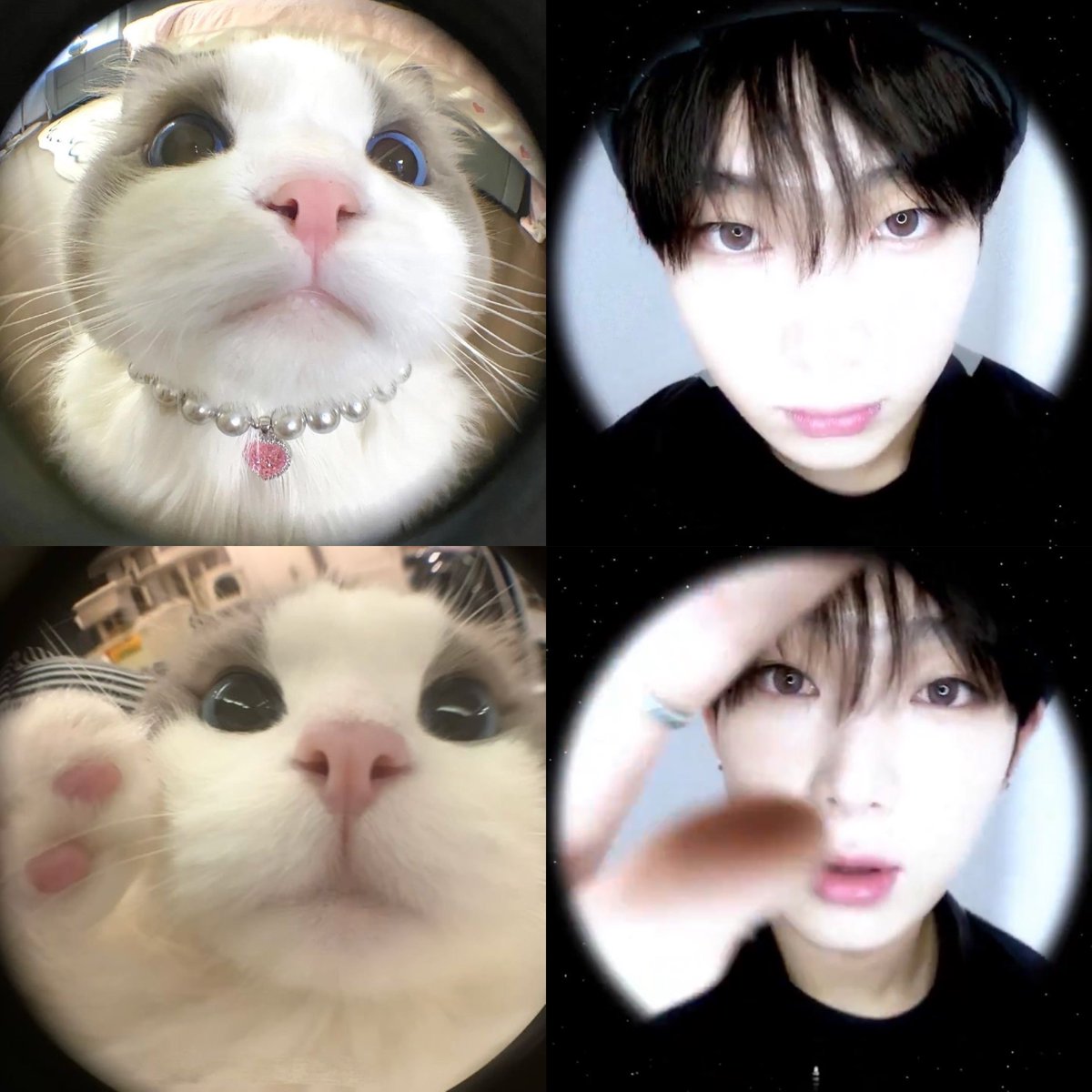 wywanny's tweet photo. meow 🎀 https://t.co/15NQCWpOfK