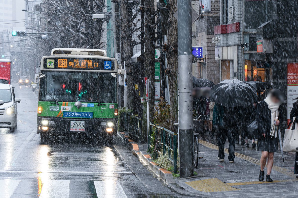 Noe_5088's tweet photo. 2023.2.5 茶51

都営バス
P-S651 PKG-RA274KAN（巣鴨）
P-V348 LKG-MP37FKF（巣鴨）
P-F623 2PG-LV290N3（巣鴨）

本日は雪の中を走る都バスを撮りに文京区本郷へ
S651が運用入りしておりました。雪の中を走り抜けるS代もいつまで見られるのでしょうか https://t.co/reavCUIeIn