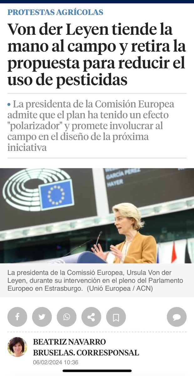 Beatriz Navarro tweet media