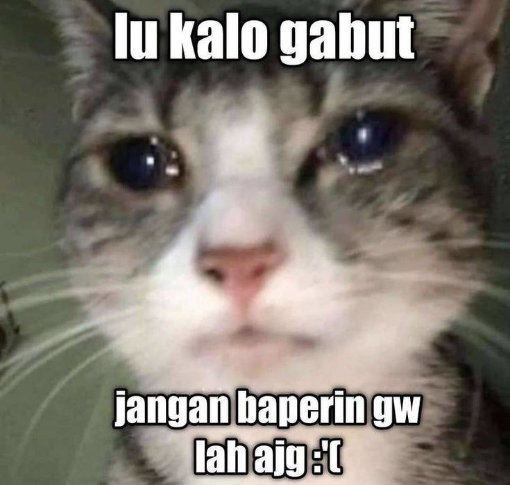 mirxclww's tweet photo. --- kumpulan meme galau brutal nice try https://t.co/8lcH5Ha1fR