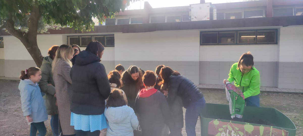CEIP Mediterráneo. Córdoba tweet media