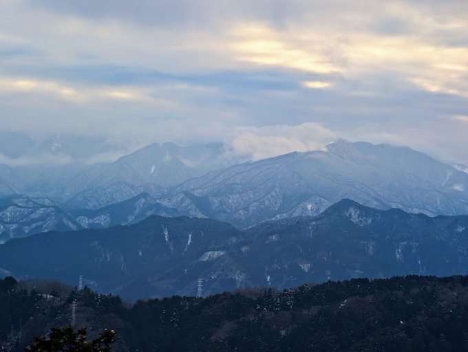 東京で雪が降ったら笹食ってる場合じゃねぇ高尾山に登るんだわ🐼 