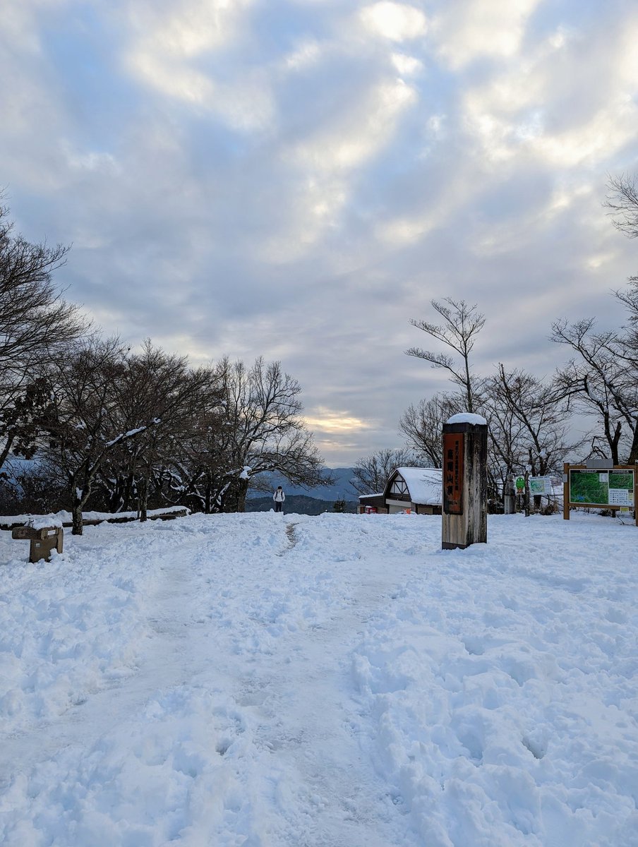 「東京で雪が降ったら笹食ってる場合じゃねぇ高尾山に登るんだわ 」|けこちゃ/冬コミ新刊委託中のイラスト