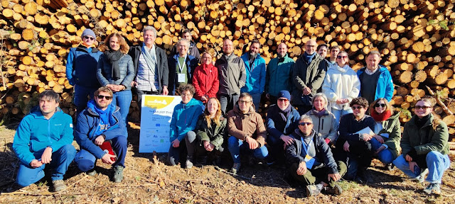 SMURF un proyecto que contribuirá a mejorar conocimientos y capacidades en gestión forestal para los dueños de pequeñas propiedades de toda Europa.
El socio del Proyecto en España es <a href="/FCesefor/">Fundación Cesefor</a>  
edu.forestry.es/2024/02/proyec…