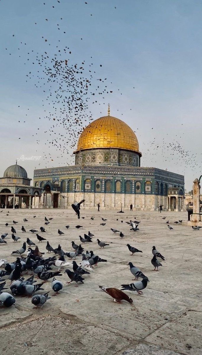 aliozdemirgsb's tweet photo. Rabbim
#MiraçGecesi'ni ülkemizin ve İslam aleminin birlik ve beraberliğine, Filistin ve Gazze'de yaşanan zulmün sona ermesine vesile kıl.
Müslümanların ferasetini aç, yaşadığımı bu zor zamanlarda cümlemizi ferahlığa çıkart.
Ülkemizi afet ve felaketlerden koru. (Amin)
#6subat2023 https://t.co/sthlIpmDdW
