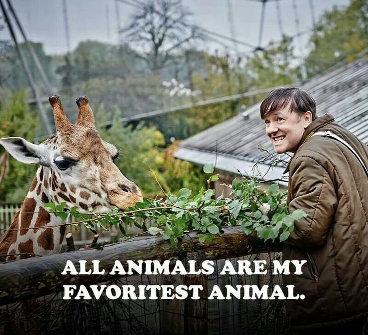 AMAZ1NG_NATURE's tweet photo. #BeLikeDerek
โALL animals are my favoritest animalโ ~ Derek Noakes.
@RickyGervais #DerekSays https://t.co/hAiGDtzBo3