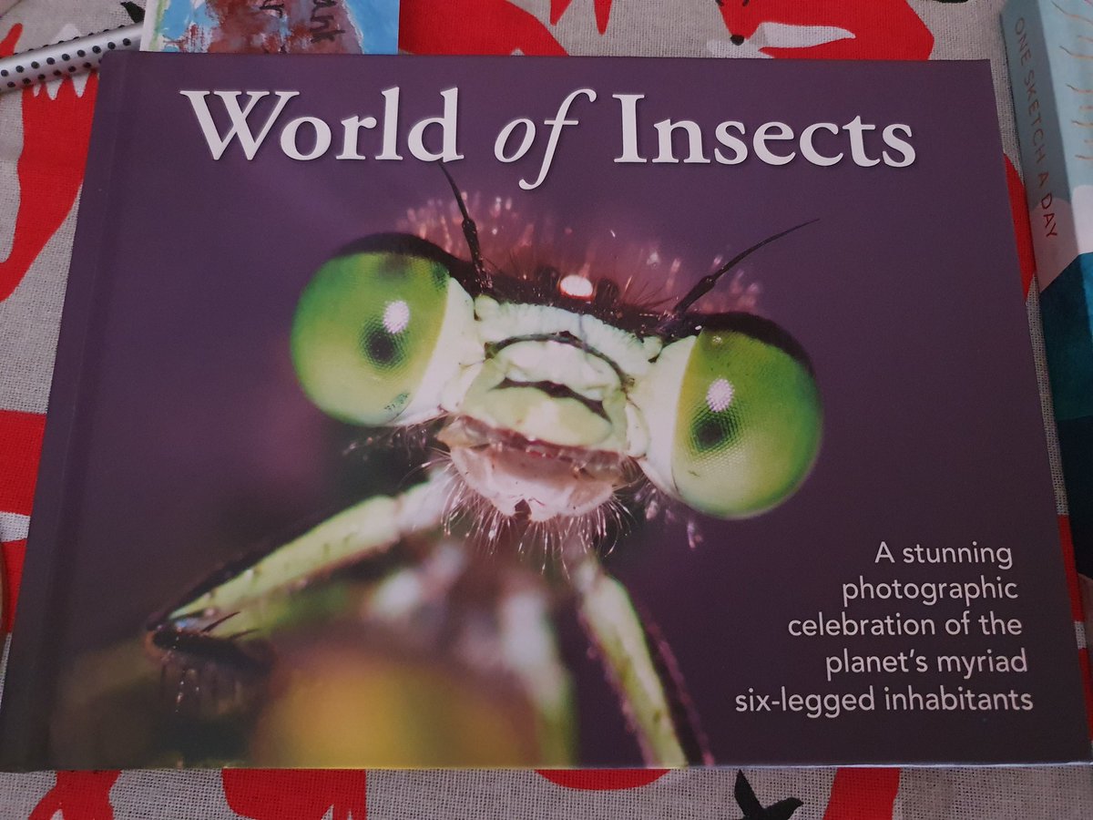 DapperCranium / Bamfudge tweet media