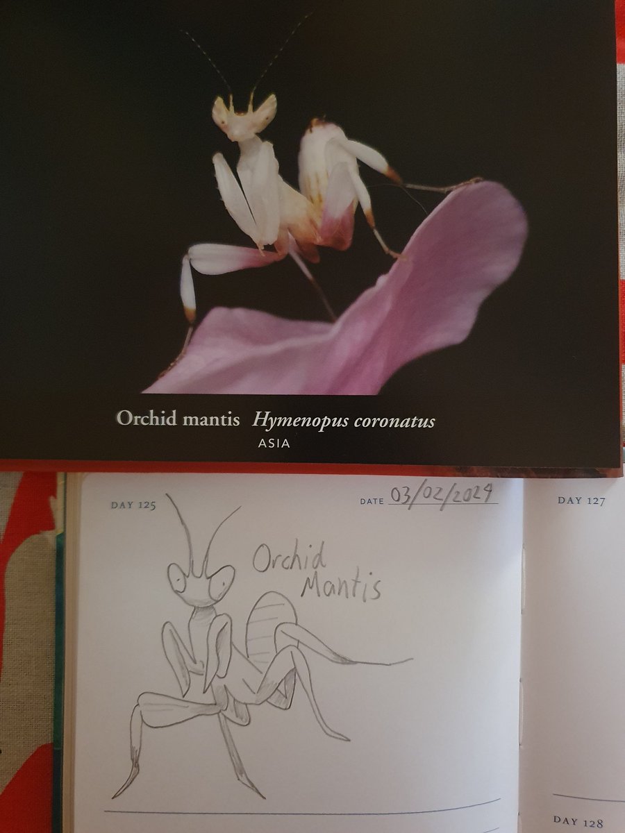 DapperCranium / Bamfudge tweet media