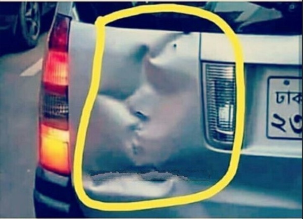 CAR FROM JAPAN tweet media