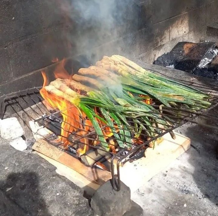 Temps de calçots🥬

Aquest brot de ceba blanca s'ha fet molt popular a casa i fora de les nostres fronteres✈️

📝Són diürètics, rics en minerals i abundants en vitamines🔝A part, el seu gust dolcet li proporciona un sabor diferent i únic✅

Aneu agafant pitet i romesco i gaudiu🙋‍♂️