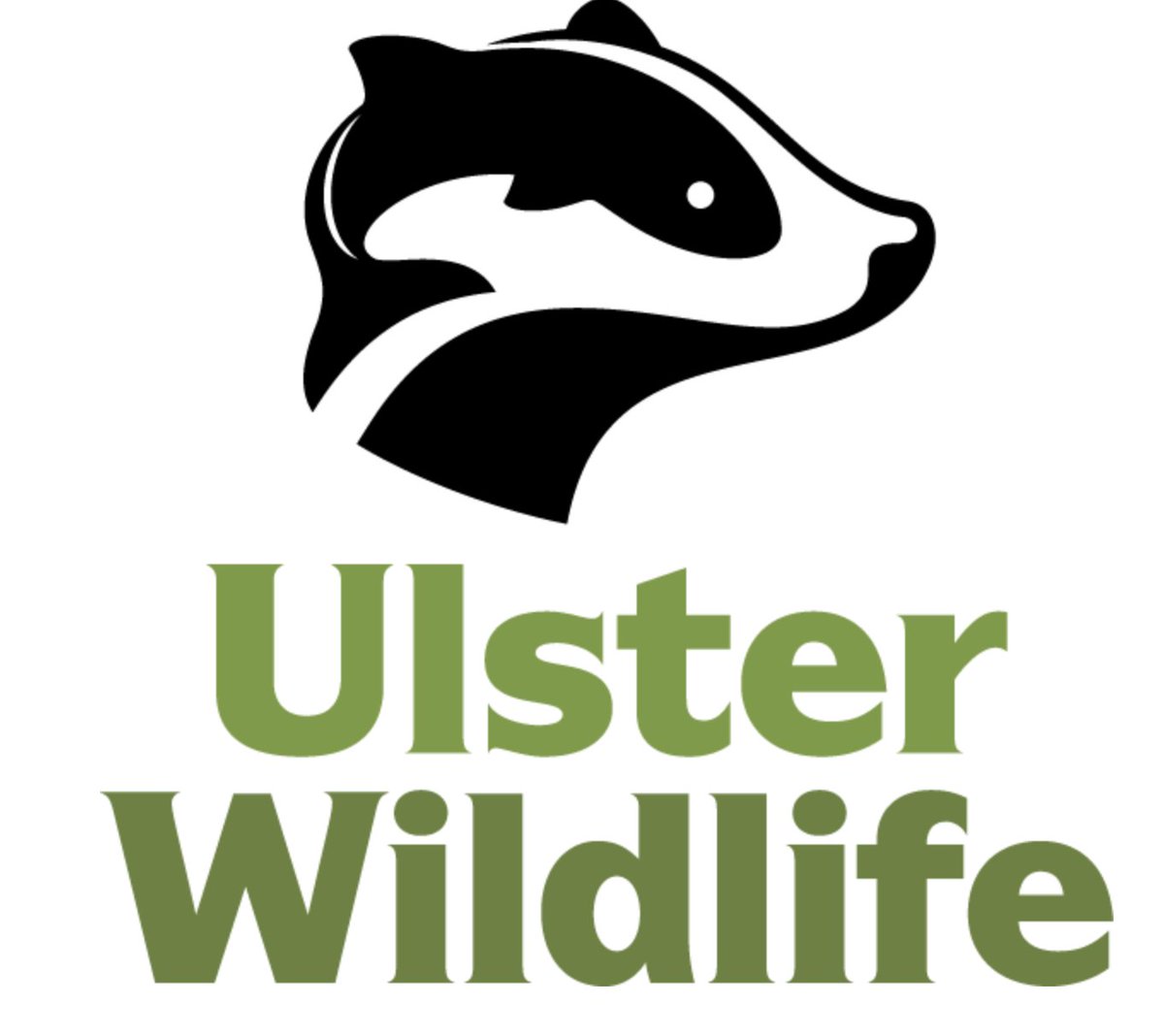 StGallsChurch's tweet photo. Really looking forward to Simon Gray from #UlsterWildlife coming TONIGHT (6th Feb)to St Gall's to chat about his work with nature in #NorthernIreland This is a big public event with everyone welcome to pop along. Bring good questions!  Kicking off at 7. Pop along if you can! https://t.co/vzkWIH4dru