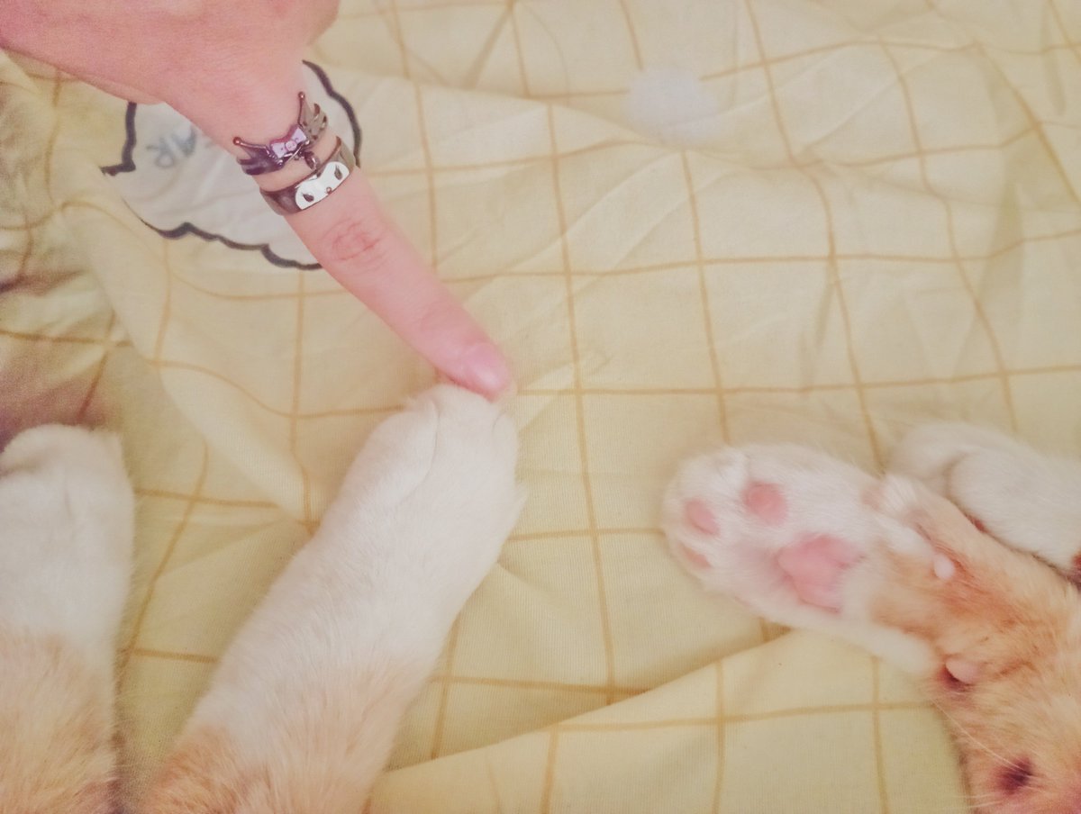 piinkbunyy's tweet photo. ได้ของแล้ว น่ารักจีง https://t.co/wbTQn8PihZ