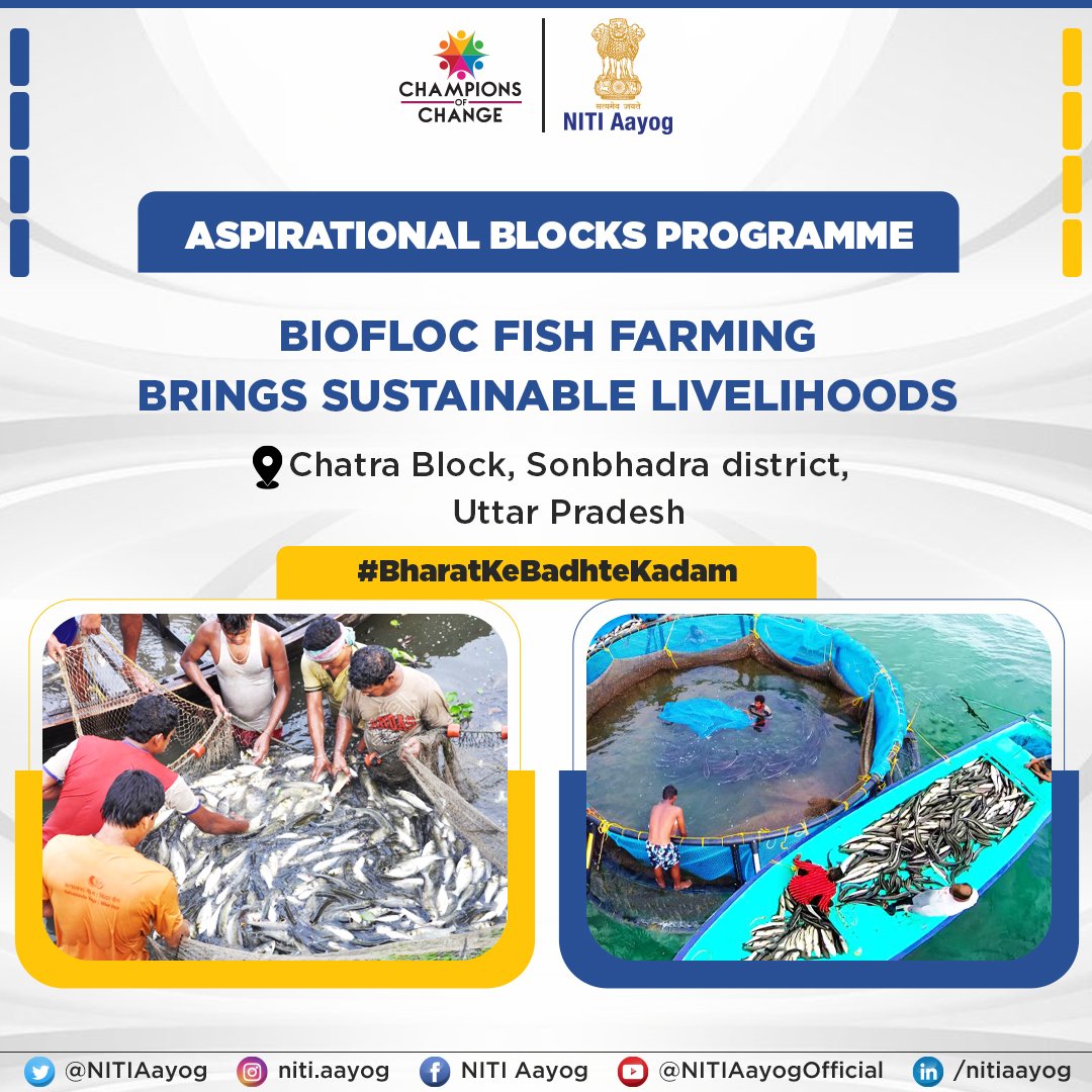 Revolutionising Livelihoods Through Pisciculture 

Under the #AspirationalBlocksProgramme, an innovative intervention of fish farming called 'biofloc method' is helping the villagers undertake pisciculture in the comfort of their homes. Implemented in Chatra Block of Sonbhadra