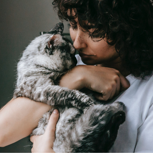 petmatingcity's tweet photo. Cat Lover😍❤️🐈c😼🐈‍⬛🐱😻😾😸😿🙀😺🐈😽@AnimalFriendsAF @cats_auras

#CatLover #FelineFrenzy #PurrfectCompanion #KittyLove #MeowMania #CrazyForCats #Lover  #PawsomePals #CatObsessed #FelineFanatic #Microsoft #Tina #PORK #Fighter #Twitter #explore #fypシ https://t.co/veOrQnGCGM