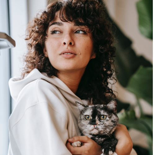 petmatingcity's tweet photo. Cat Lover😍❤️🐈c😼🐈‍⬛🐱😻😾😸😿🙀😺🐈😽@AnimalFriendsAF @cats_auras

#CatLover #FelineFrenzy #PurrfectCompanion #KittyLove #MeowMania #CrazyForCats #Lover  #PawsomePals #CatObsessed #FelineFanatic #Microsoft #Tina #PORK #Fighter #Twitter #explore #fypシ https://t.co/veOrQnGCGM