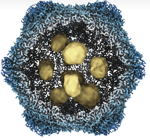 Niko McCarty. tweet media