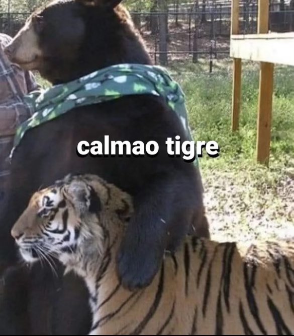 Ourelio1's tweet photo. @Parrobot7 Que espabilado está el Tomás https://t.co/P5fAAxcDbb