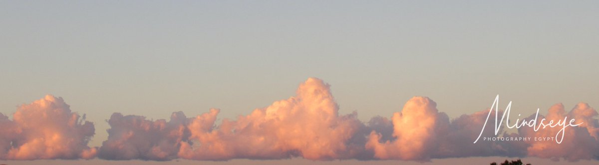 EgyptSusan's tweet photo. When you take coffee onto the roof at sunrise  and in the South West see a line of pink clouds. 
These were above Ras Mohammad, which unfortunately can't be seen through the neighbouring apartments. 
Must have been beautiful at the headland edge.

#Egypt #sunrise #clouds #pink https://t.co/x8HsqO4Hqu